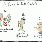 delta smelts cartoon by d. barstow